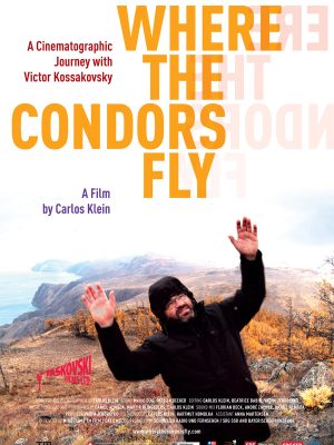 where-the-condors-fly